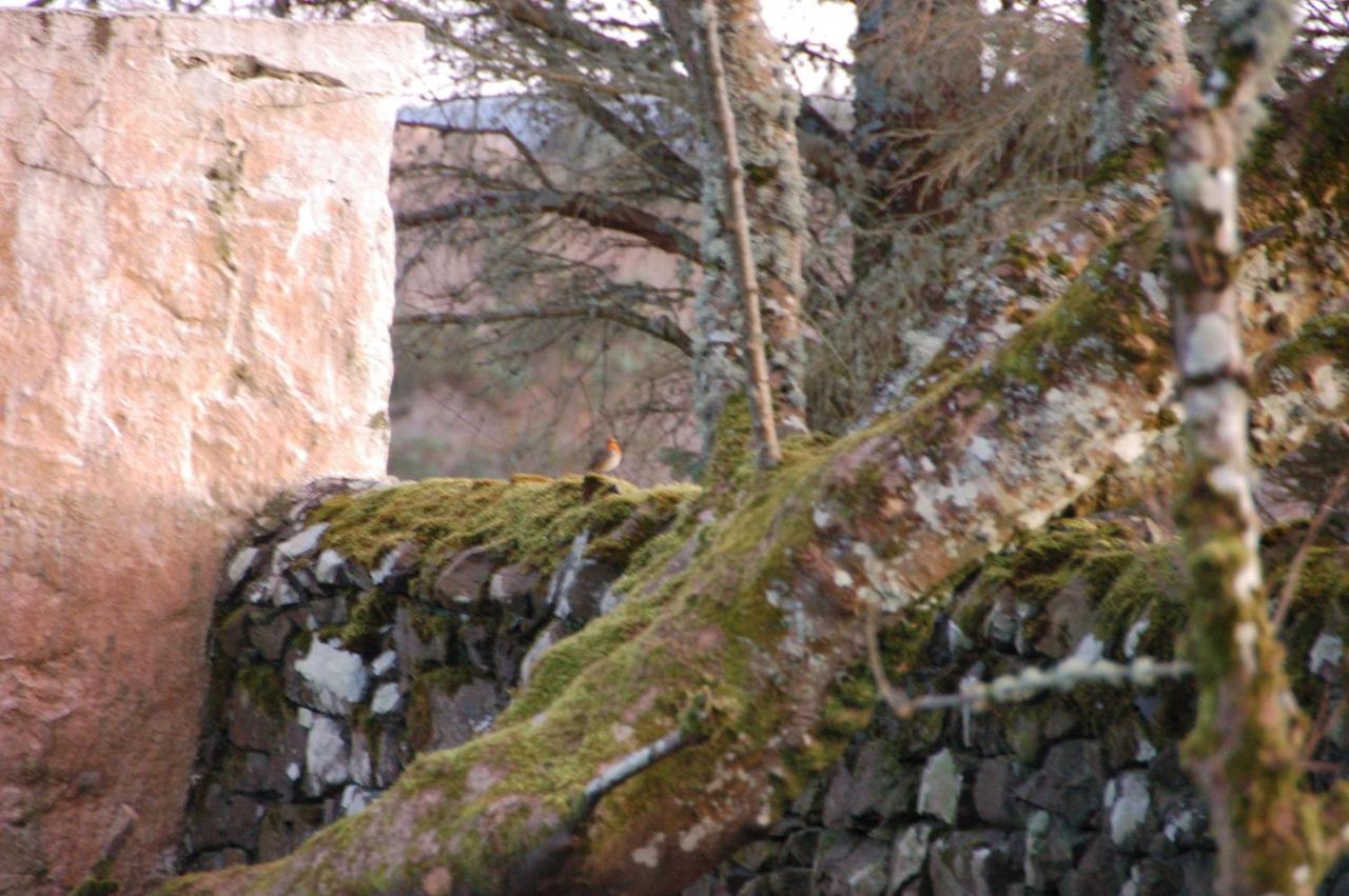 Hame On Skye Hotel Lonmore Exterior photo